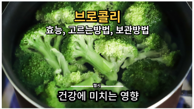  브로콜리의 놀라운 효능, 고르는 방법, 보관방법, 건강에 미치는 영향 알아보기