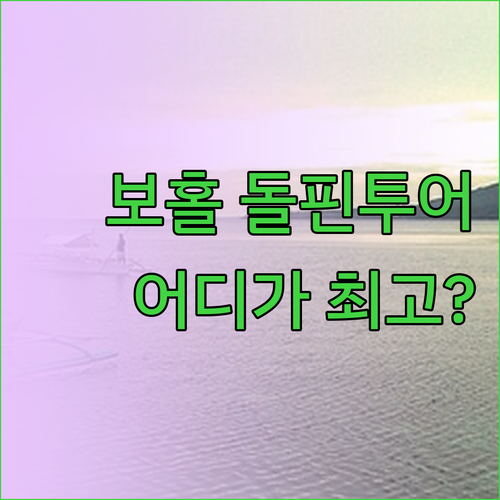 보홀 돌핀베이, 아미한, 펀호텔 장단
