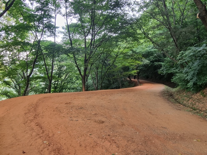 계족산황톳길