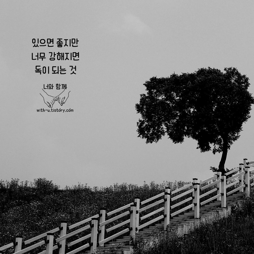  개성 명언 : 짧고 좋은 글귀 : 짧은 명언