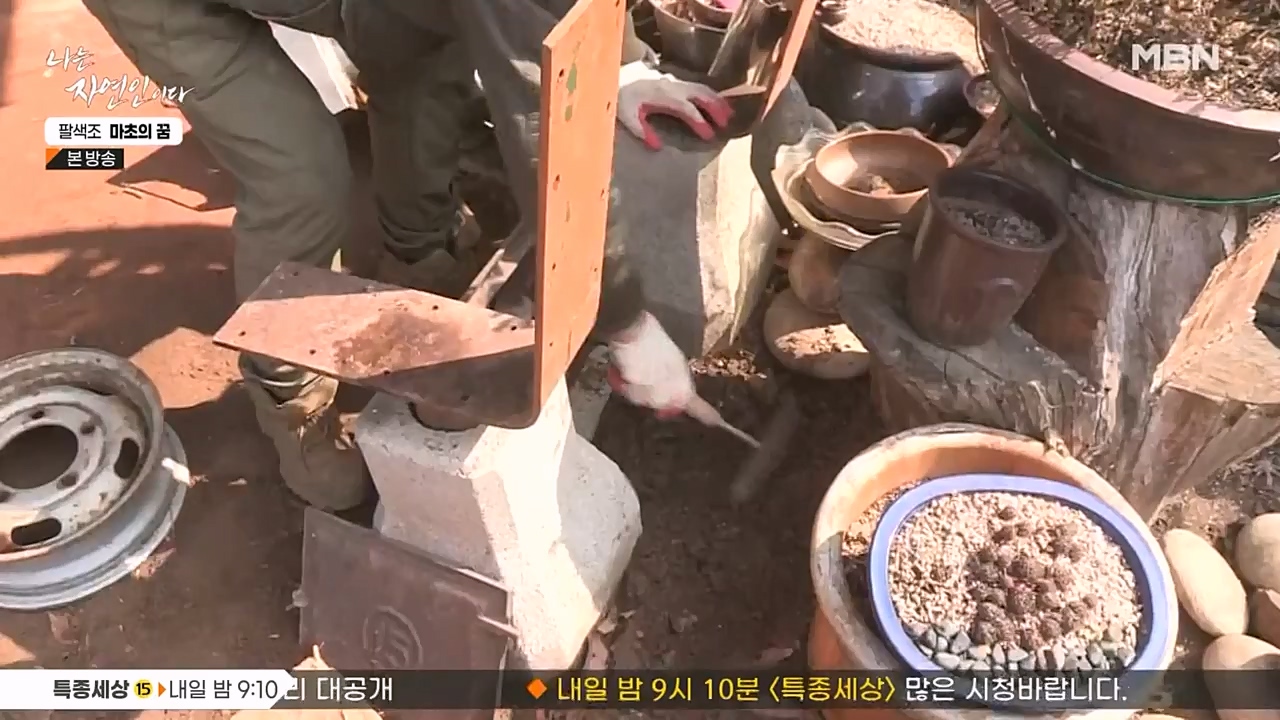 나는 자연인이다.E544.230309p-NEXT.mp4_20230309_191750.902.jpg
