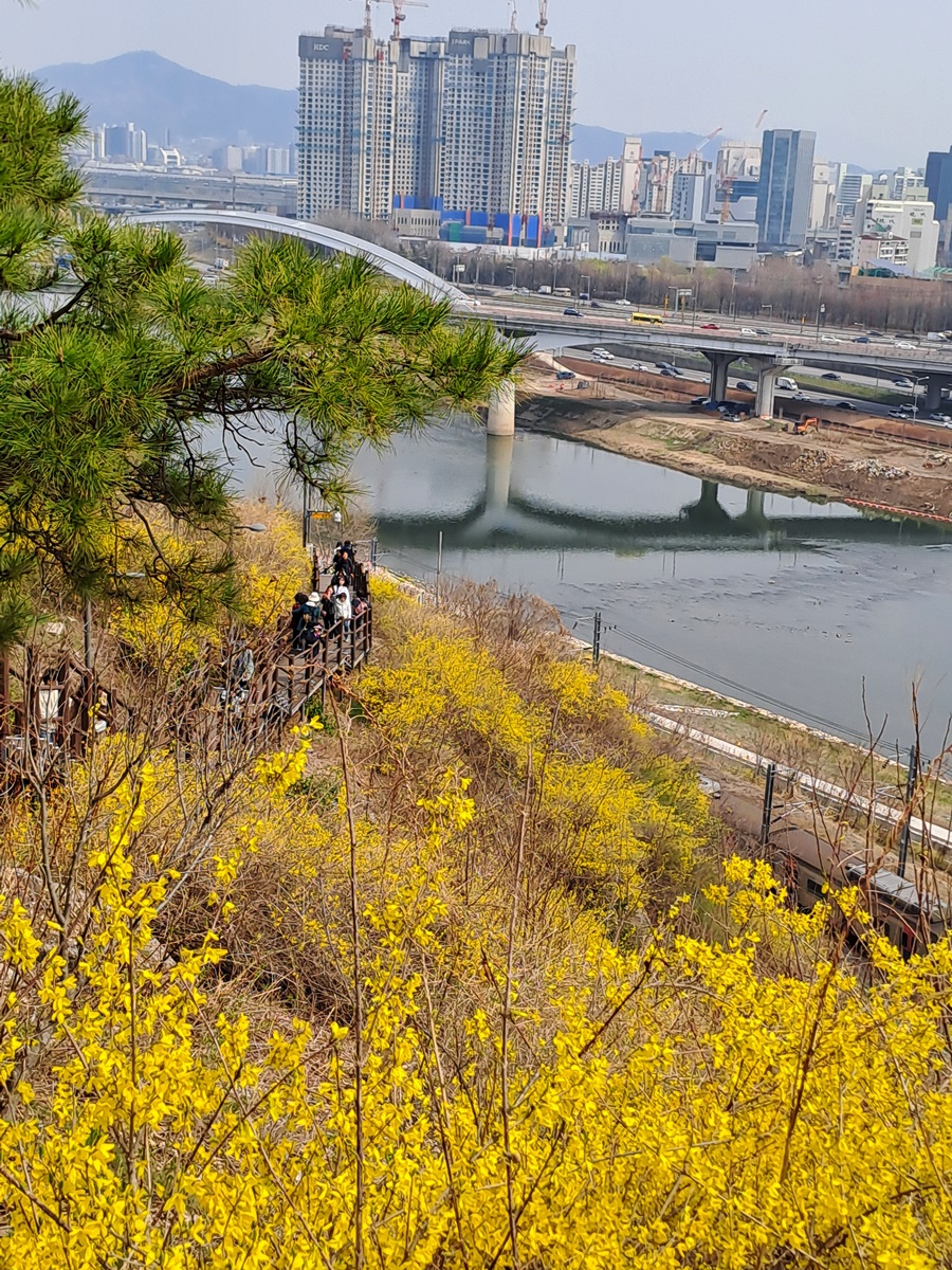 하산길-개나리능선계단_02