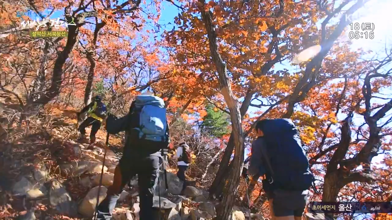 트레킹노트 세상을 걷다.E297.231119p-NEXT.mp4_20231123_212049.360.jpg