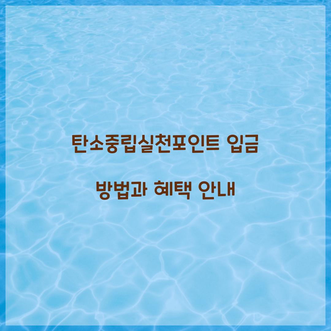탄소중립실천포인트 입금 