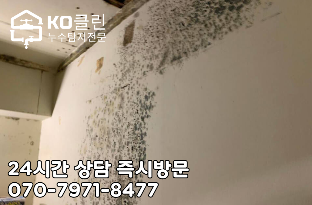 일산 호수공원 누수 탐지6