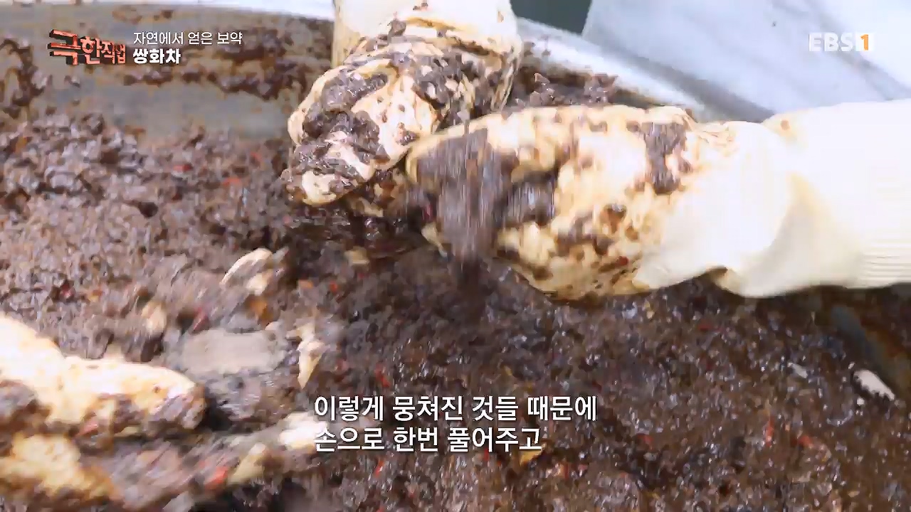 TV - 전 국민의 평생학교 EBS자연에서 얻은 보약, 상황버섯과 산나물, 쌍화차.mp4_20240615_172256.193.jpg