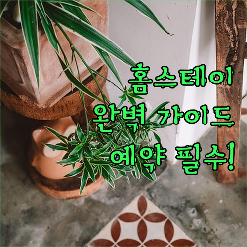 샹그릴라 홈스테이 완벽 가이드! 강월