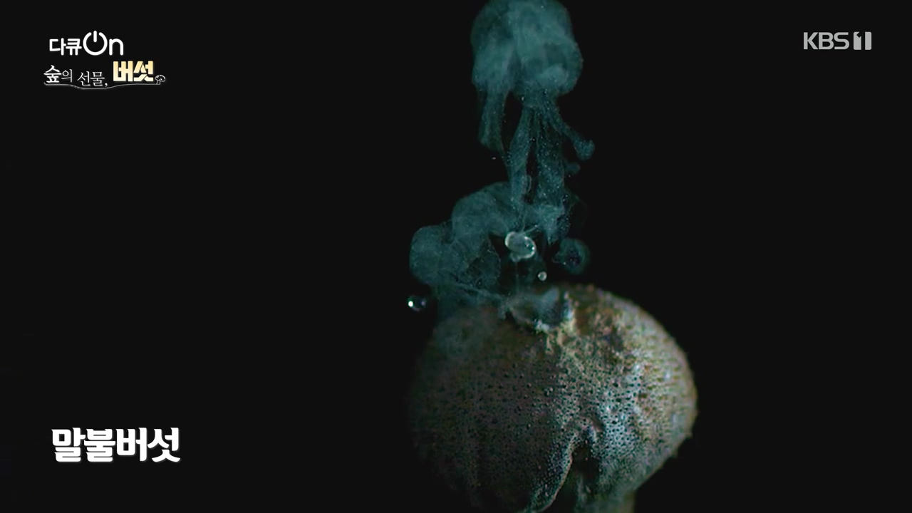 다큐 온.E227.231120p-NEXT.mp4_20231121_202018.014.jpg