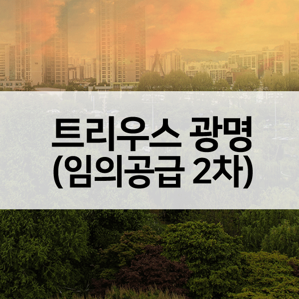 트리우스광명임의공급2차-1