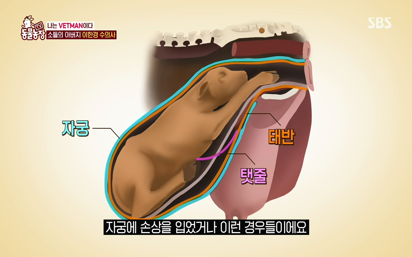 TV 동물농장.E1069.220515p.H264-F1RST.mp4_20220515_180015.891.jpg