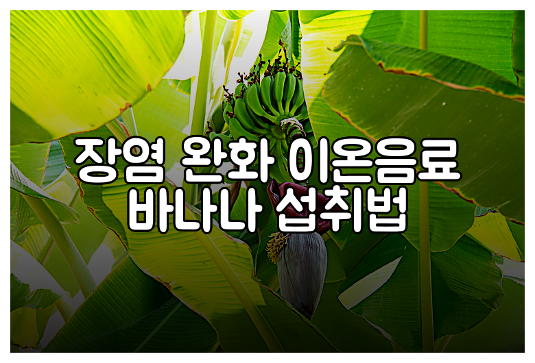 장염 완화 이온음료 바나나 섭취법