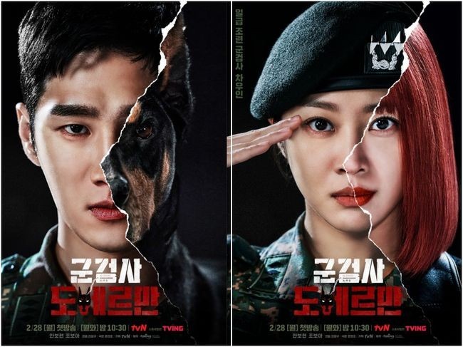  [tvN]군검사 도베르만 (시간 순삭 전개 빠른 추천드라마)