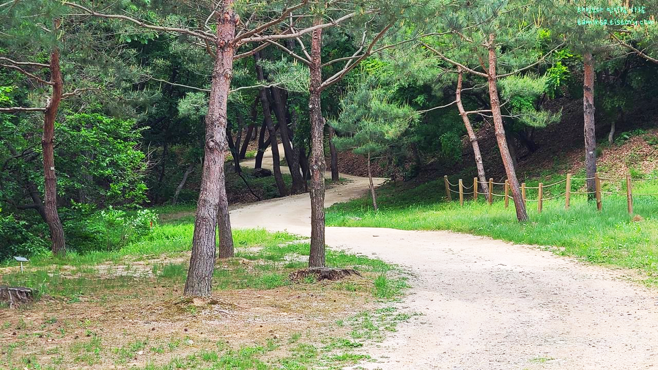 동구릉숲길개방