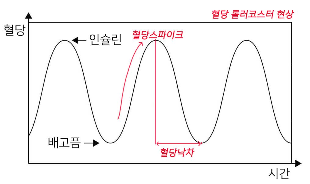 혈당낙차와 스파이크, 롤러코스터 설명하는 그래프