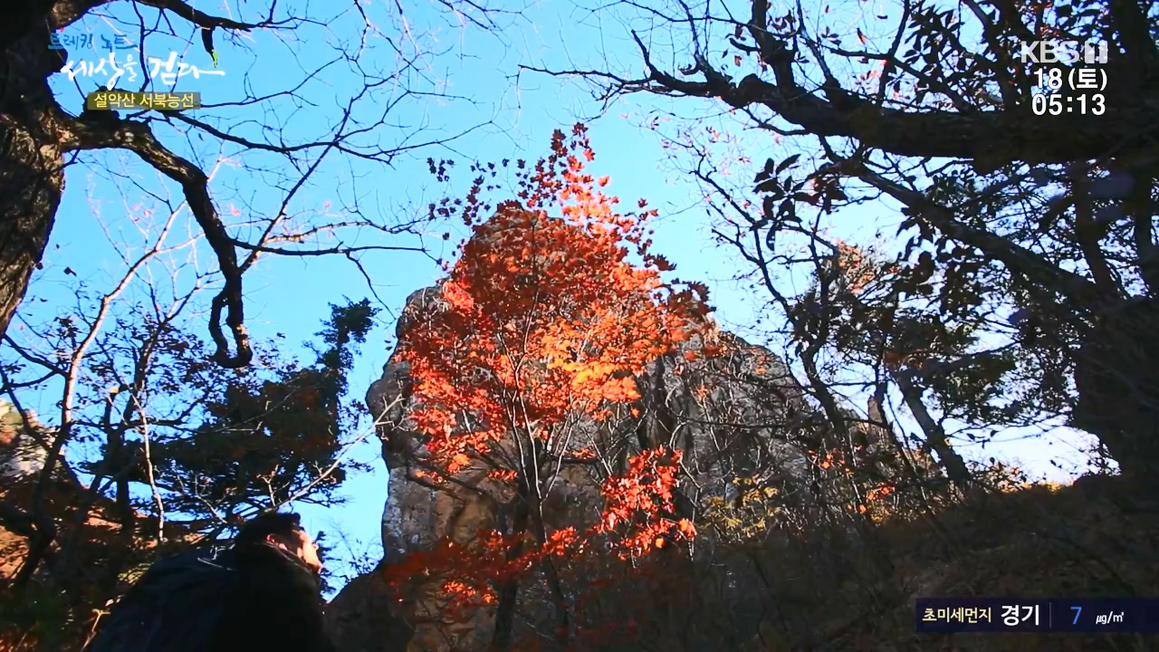 트레킹노트 세상을 걷다.E297.231119p-NEXT.mp4_20231123_212048.516.jpg