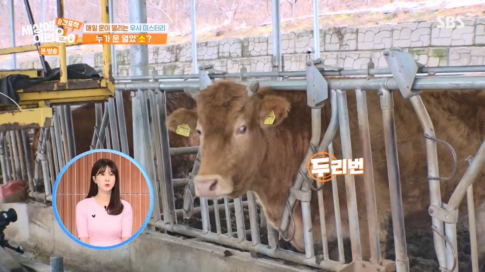 순간포착 세상에 이런일이.E1265.240217p-NEXT.mp4_20240218_151659.372.jpg