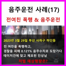 부산 사하구 하단동_전여친 폭행_음주운전_테이저건_체포