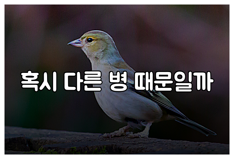 혹시 다른 병 때문일까