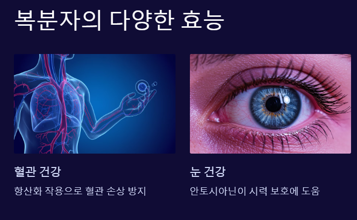 복분자효능-복분자효과-복분자남성
