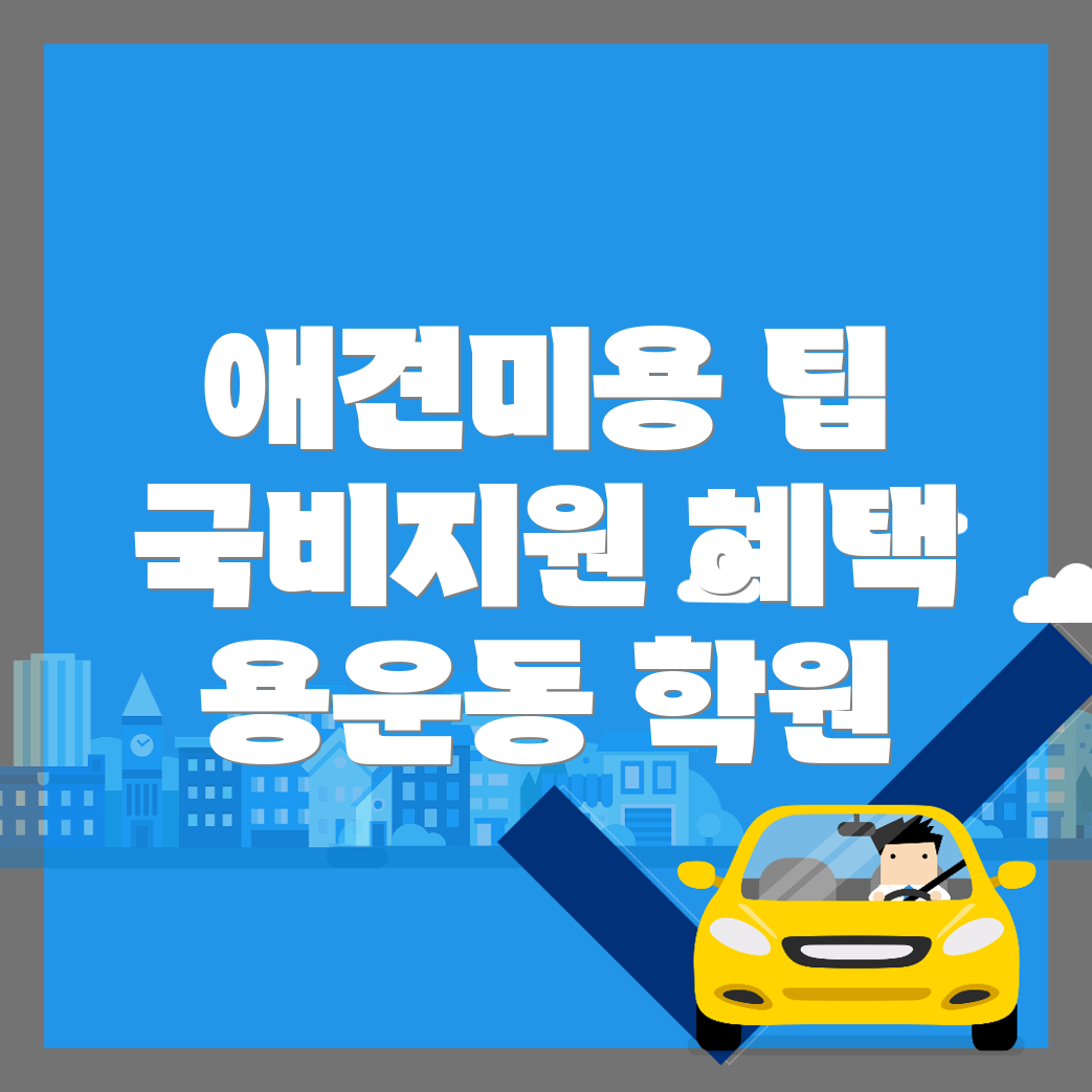 애견미용