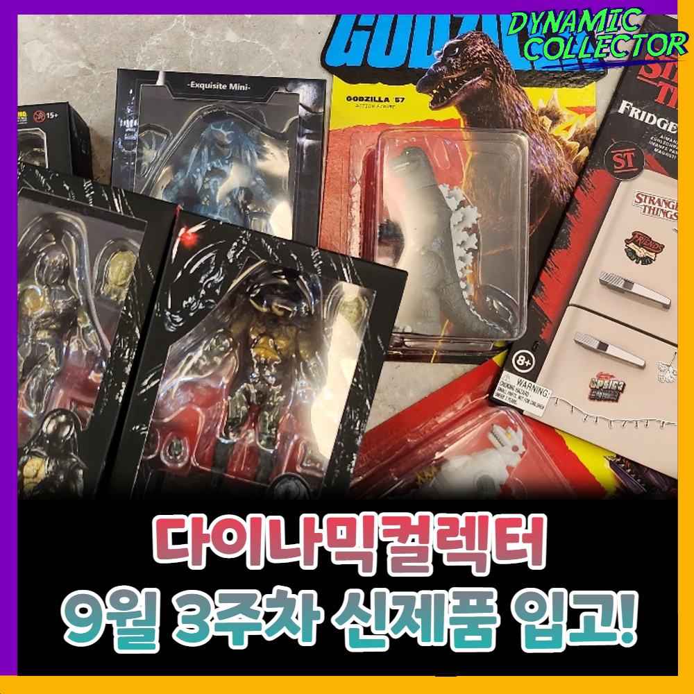  [다이나믹컬렉터] 9월 3주차 신제품 입고!