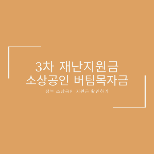  3차재난지원금 소상공인 버팀목자금과 고용 취약계층 지원 확인하기
