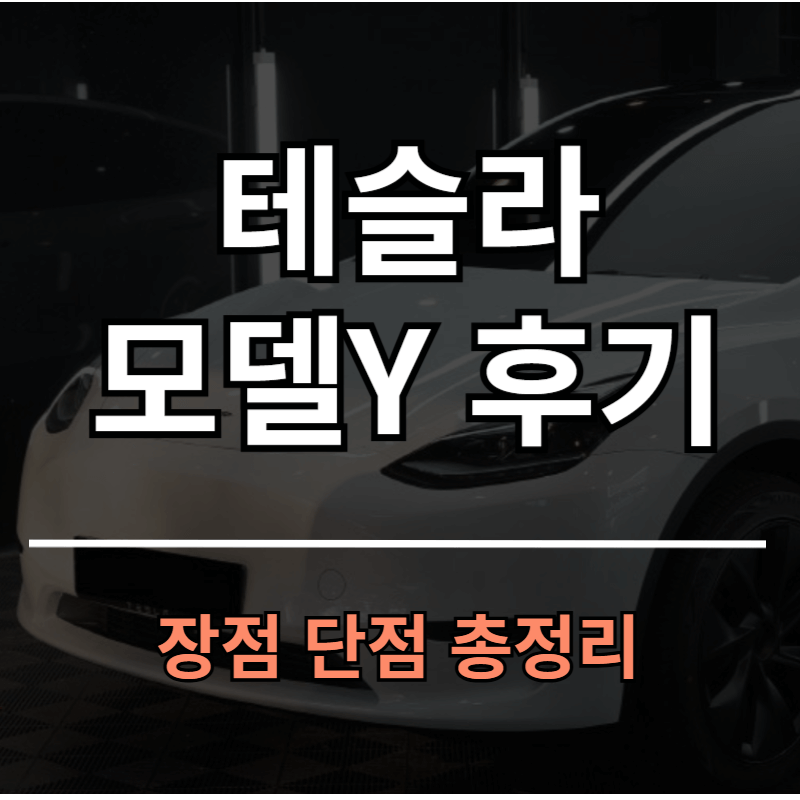 테슬라 모델Y 2달 주행 후기