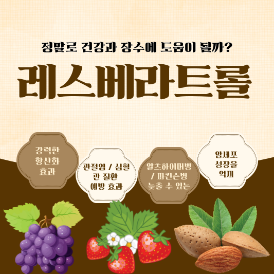  레스베라트롤(Resveratrol) 효능은? 정말로 건강과 장수에 도움이 될까?