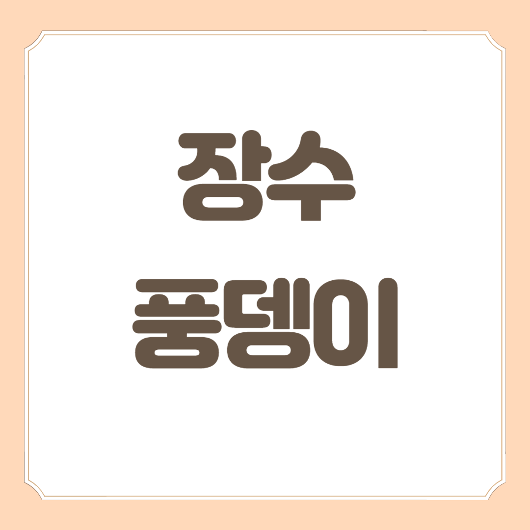 장수풍뎅이