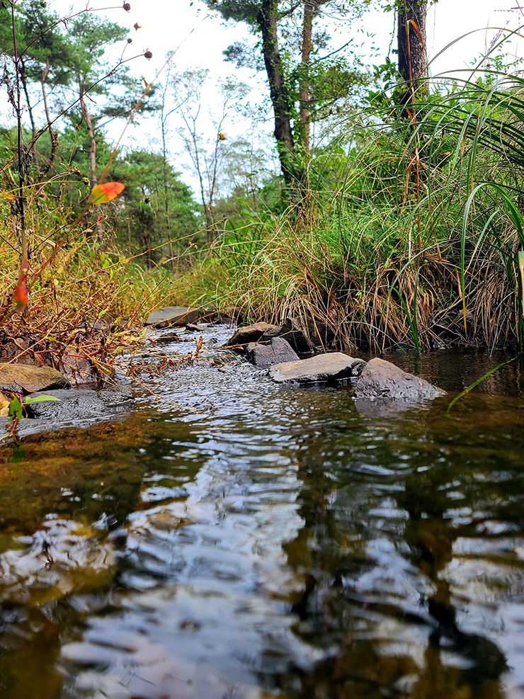 충남 걷기 좋은 숲길 국내여행 걷기 좋은 길, 19