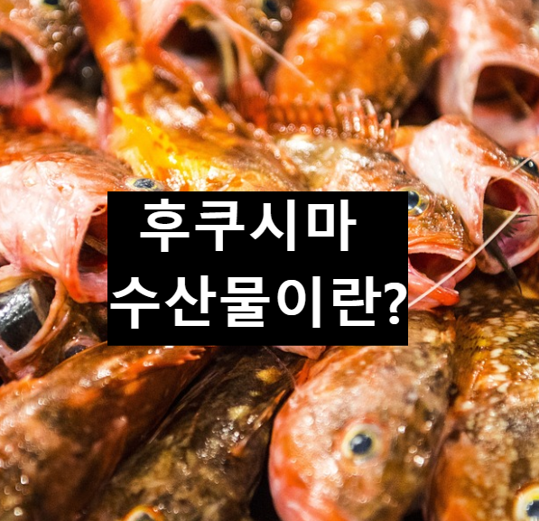  후쿠시마 수산물이란 무엇인가