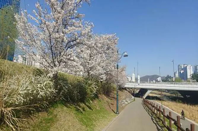 상현공원