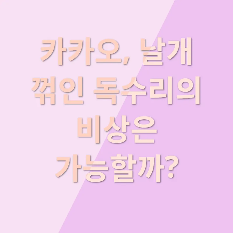 카카오 계열사 분석_1