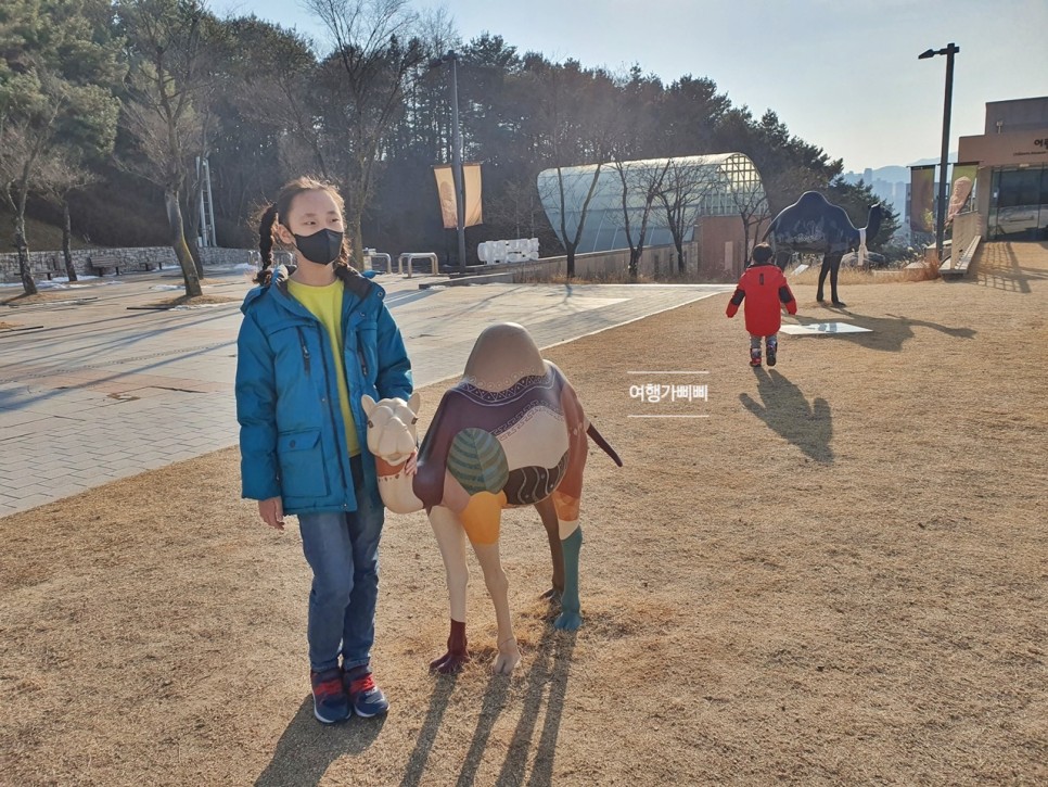 국립춘천박물관 전시 보고 34