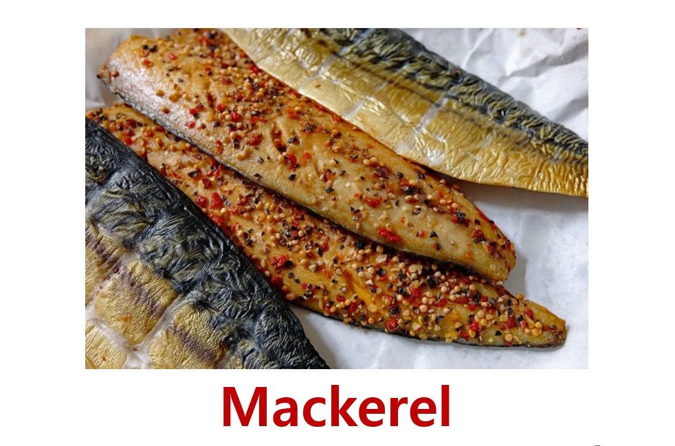 생선 관련 영어 표현 - 고등어, 참치, 멸치 영어로?