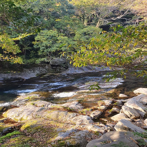 천제연 폭포 제 2폭포