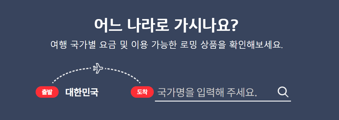 KT 로밍 사진