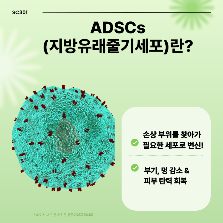 img 가슴 성형, 지방흡입 후 빠른 회복! ADSCs로 피부 재생과 탄력 회복