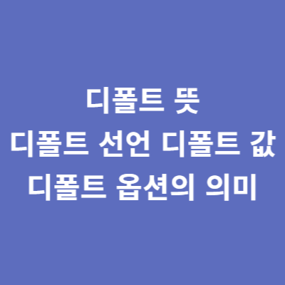 디폴트 뜻 디폴트 선언 디폴트 값 디폴트 옵션의 의미