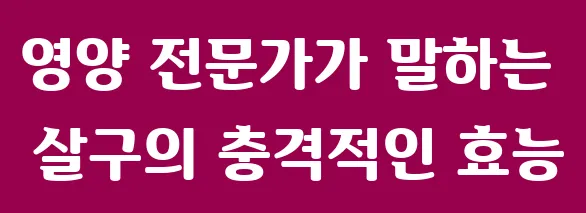 영양 전문가가 말하는 살구의 충격적인 효능