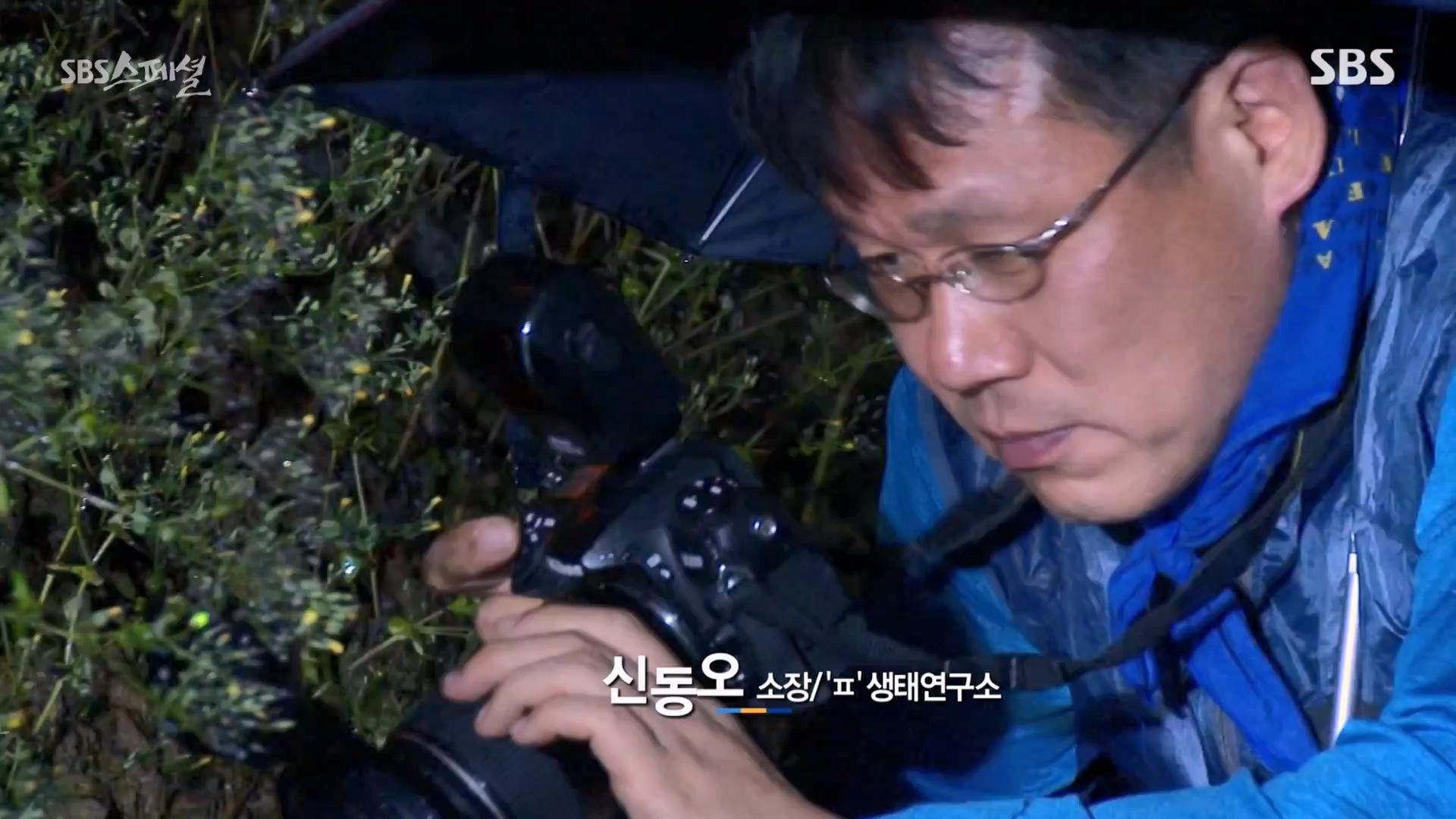 일요특선 다큐멘터리.E344.240310p-NEXT.mp4_20240310_160124.782.jpg