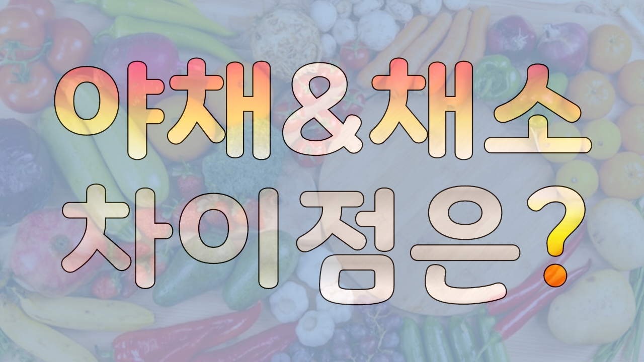 야채&채소-차이점-메인-문구