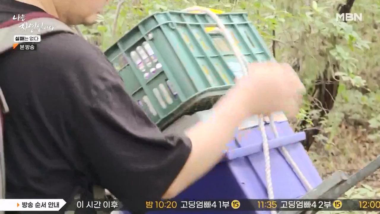 나는 자연인이다.E567.230817p-NEXT.mp4_20230817_202910.224.jpg