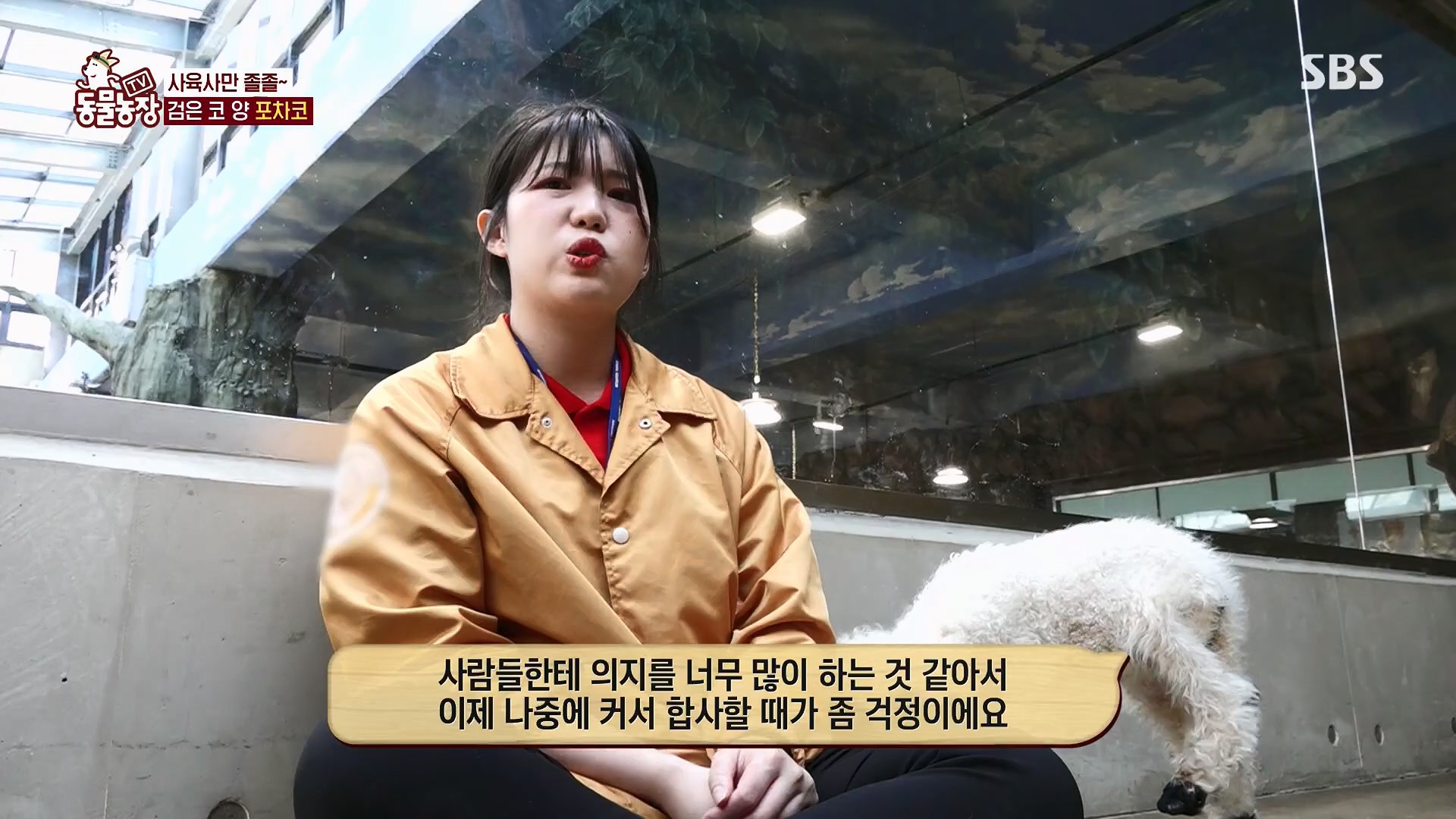 TV 동물농장.E1119.230507p.H264-F1RST.mp4_20230507_135925.180.jpg