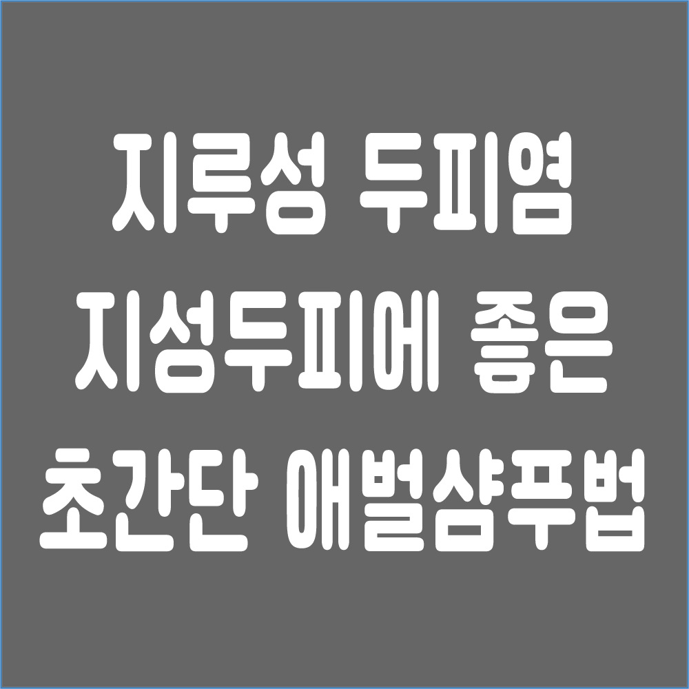 일러스트사진