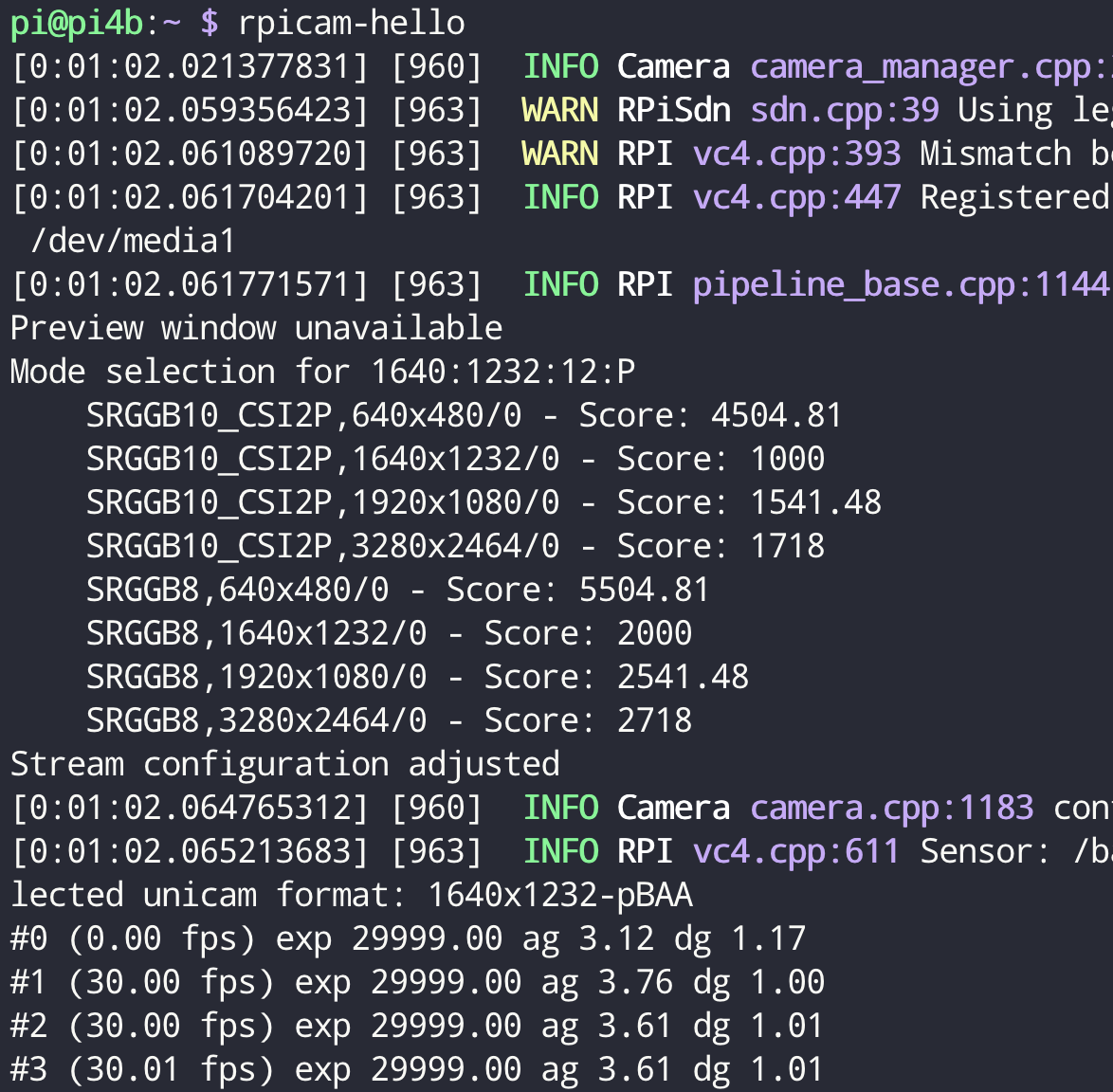 rpicam-hello 실행 결과