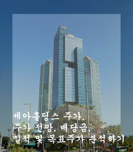  세아홀딩스 주가, 주가 전망, 배당금, 실적 및 목표주가 분석하기