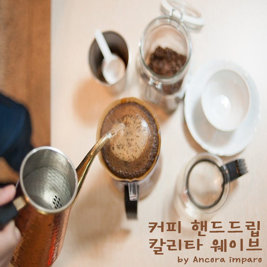  핸드드립, 웨이브 칼리타 추출 방법