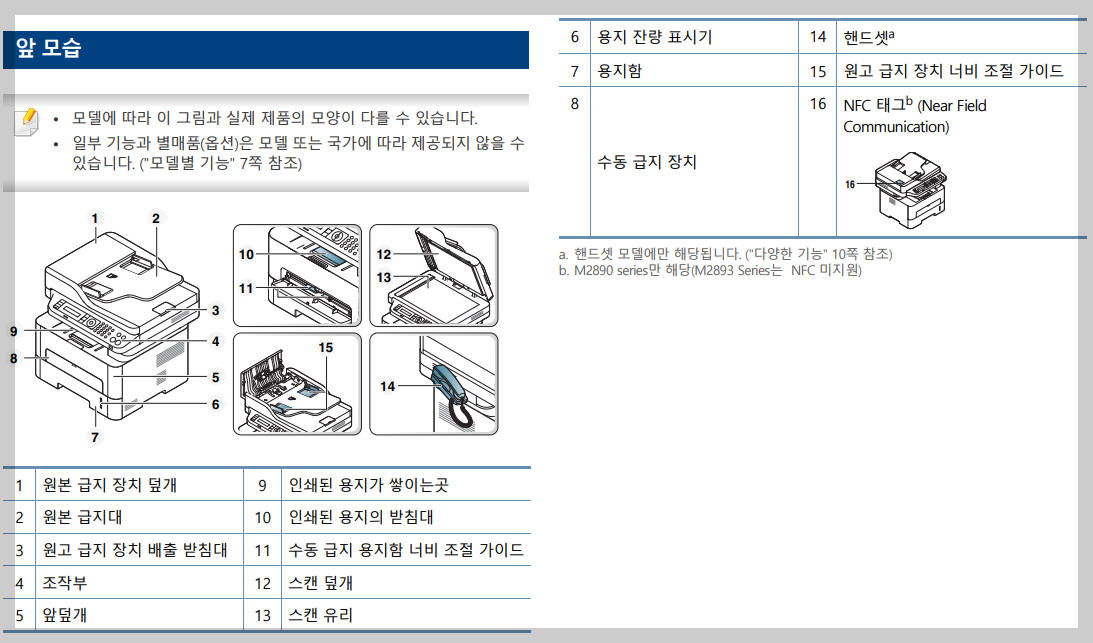 앞모습