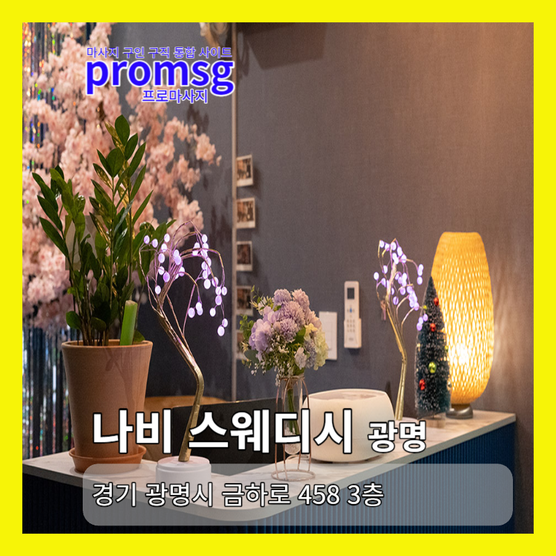  경기/광명 - 나비 스웨디시 마사지 채용 정보